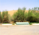 Al Maha Desert Resort (3 STP Plants)